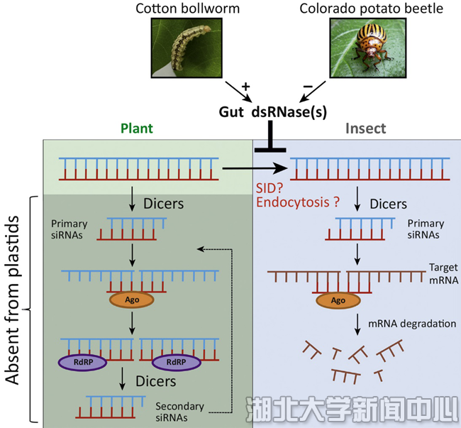 Trends In Biotechnology